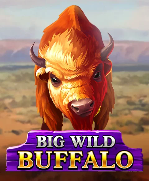 Play Big Wild Buffalo at Dream Palace Casino
